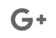 logo google +